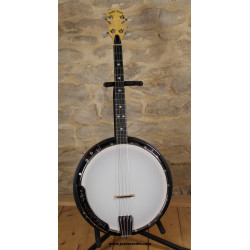 Banjo ténor irlandais CC-IT Résonateur: Avec (bois) -Nombre de case: 1