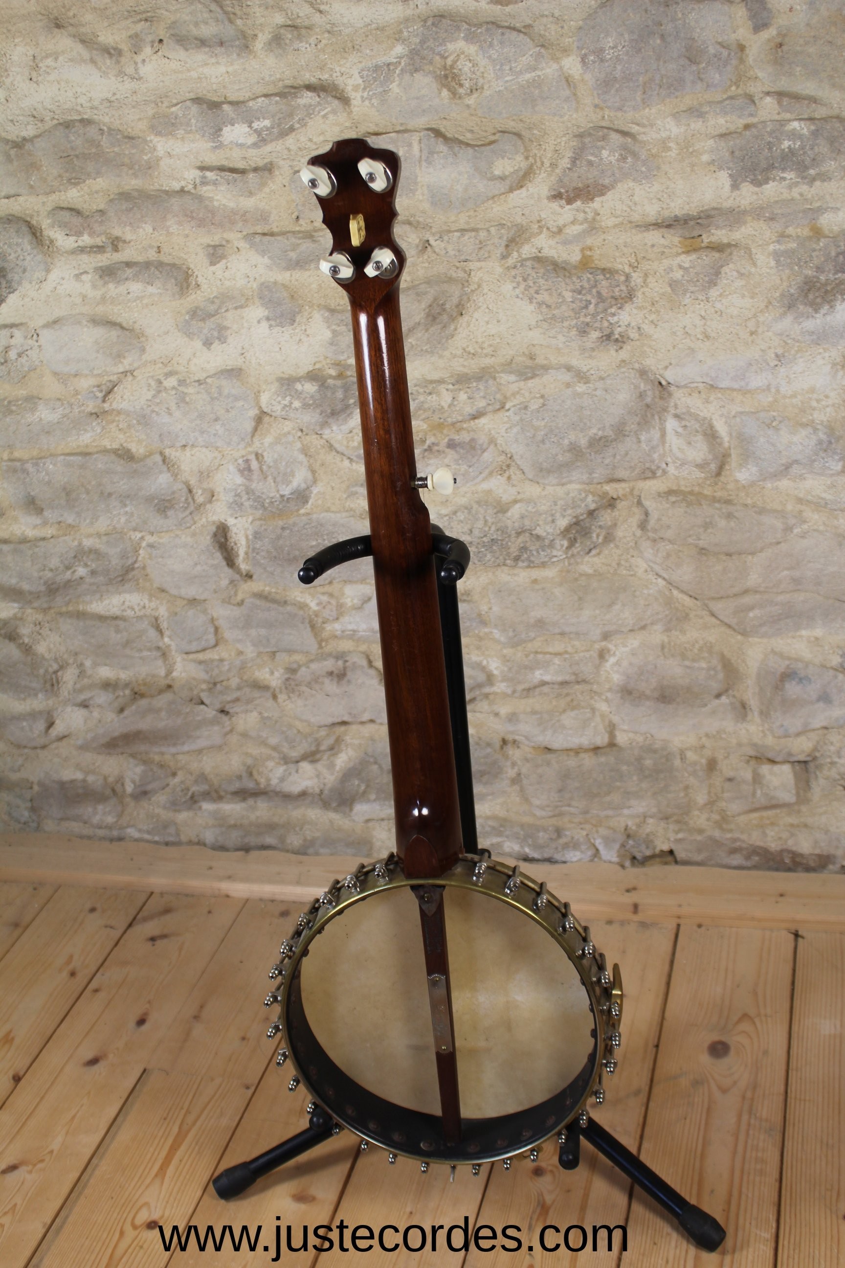 Banjo occasion Lyon & Healy