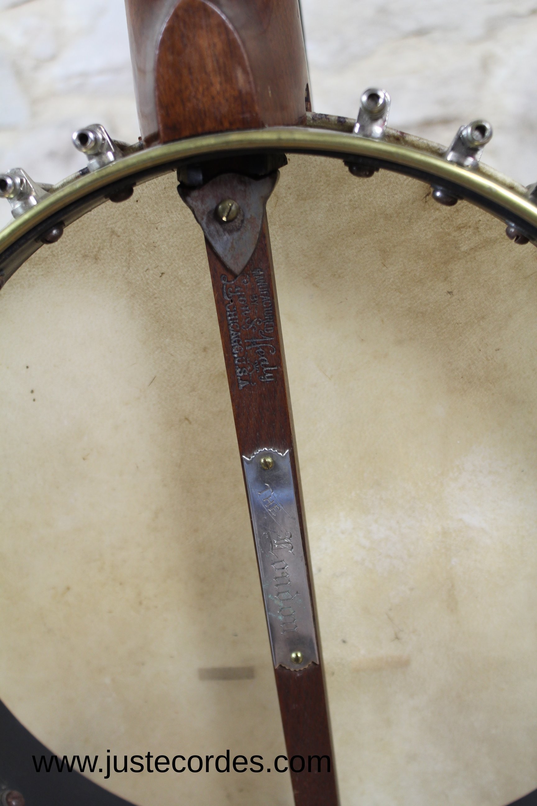 Banjo occasion Lyon & Healy