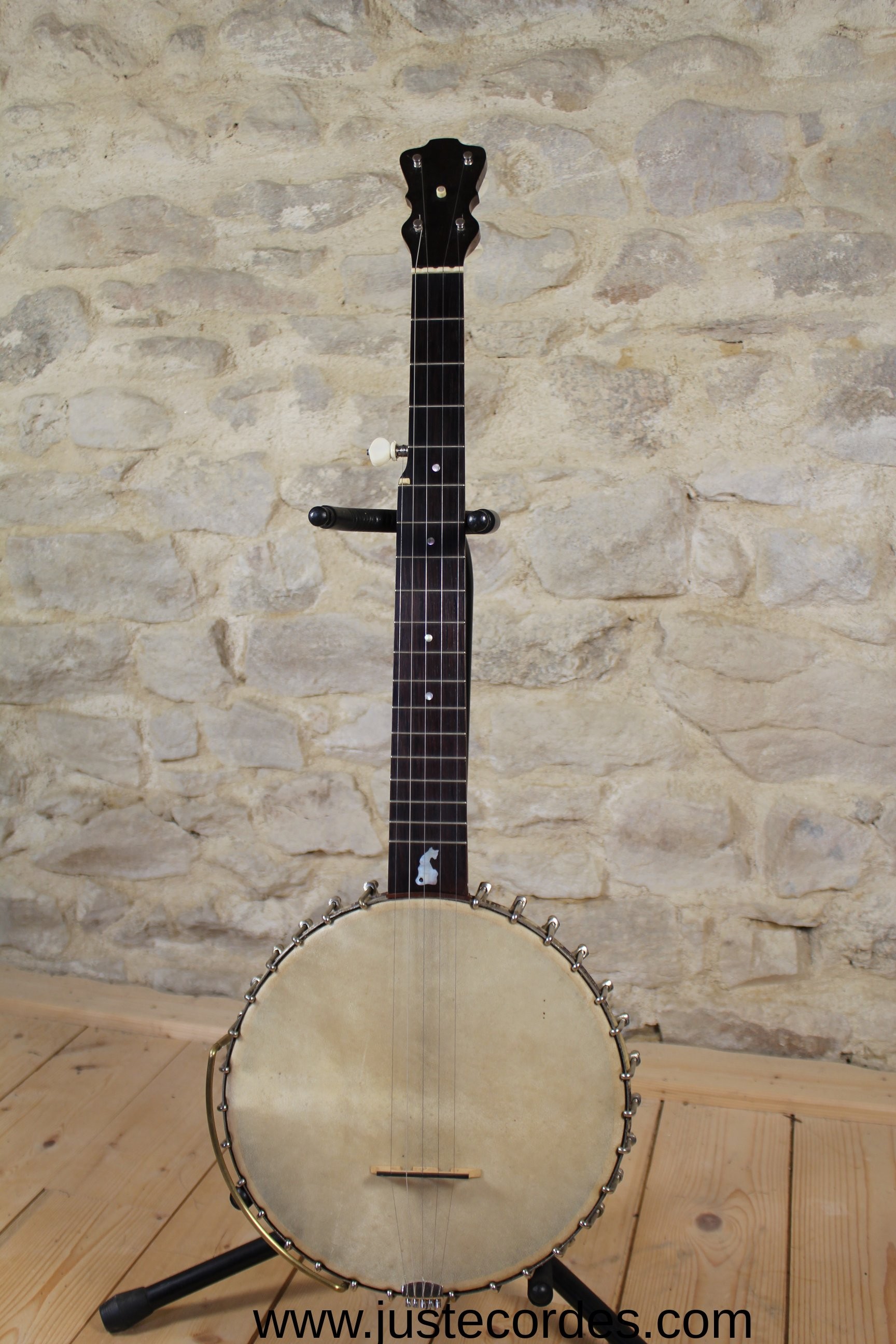 Banjo occasion Lyon & Healy