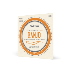 Banjo D'addario Phosphore Bronze