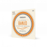 Banjo D'addario Phosphore Bronze