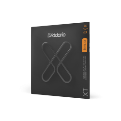 Jeu banjo D'addario XT Nickel