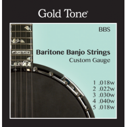 Baritone banjo