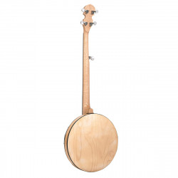 Goldtone CC-1OOR 679,00 €