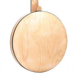 Goldtone CC-1OOR 679,00 €