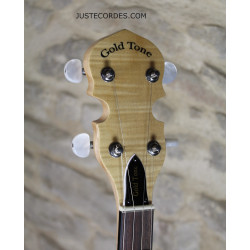 Goldtone CC-PLECTRUM