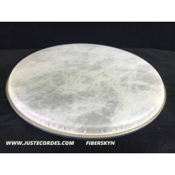 Banjo head 10 7/8 30,00 €