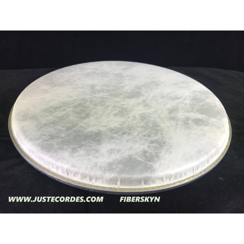 Banjo head 10 7/8 30,00 €