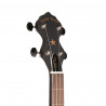 Goldtone AC-1FL Fretless 399,00 €
