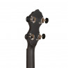 Goldtone AC-1FL Fretless 399,00 €