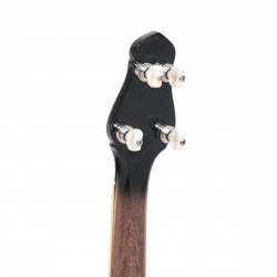 Banjo Cello 5 cordes