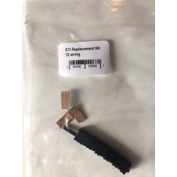 Kit conversion paige ETI 12 cordes