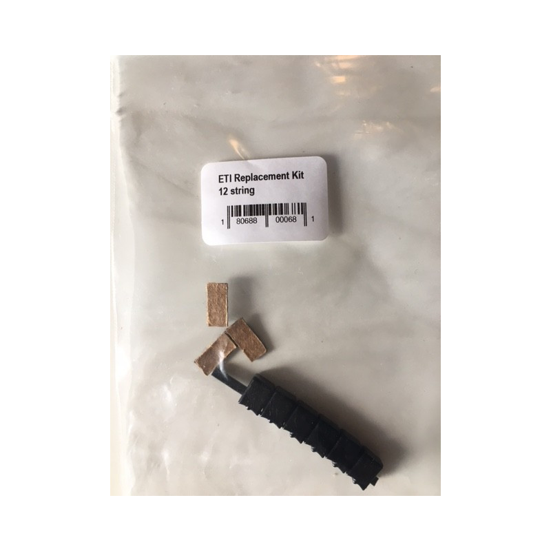 Kit conversion paige ETI 12 cordes