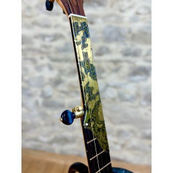 Semi fretless Hutchings Old Cherrywood 2,560.00