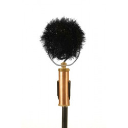 Windshield Edwina/Delphina 30,00 €