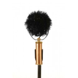 Windshield Edwina/Delphina