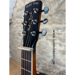 Guitare squareneck Goldtone PBS