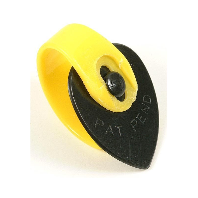 Fred Kelly Bumble bee