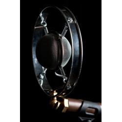 Micro Louise Ear Trumpet Labs