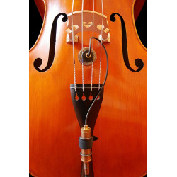 Micro Contrebasse Nadine Ear Trumpet Labs