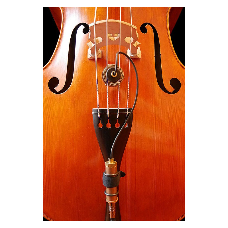 Micro Contrebasse Nadine Ear Trumpet Labs