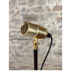 Wanda Ear Trumpet Labs