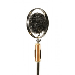 Windshield Louise/Myrtle 30,00 €